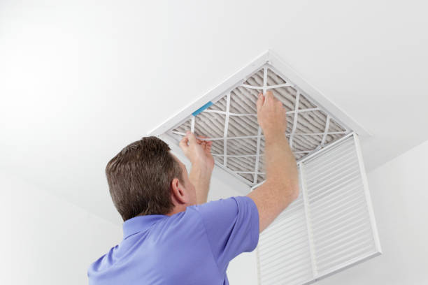 Air Duct Mold Removal in Garner, IA